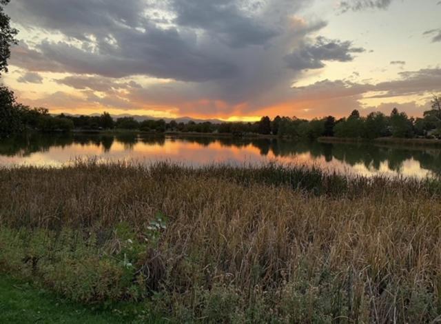 Unique Designer 3 Bed 3 Bath Denver